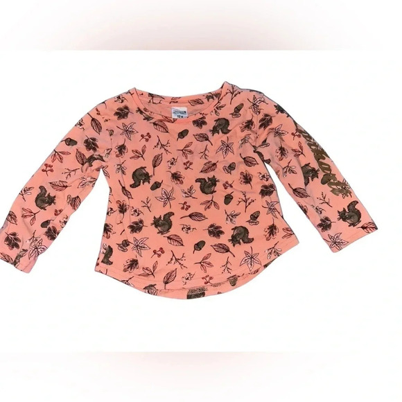 Carhartt Other - Carhartt baby girl long sleeve shirt size 12m